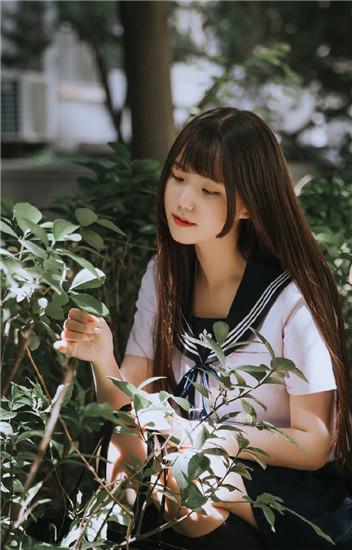 向日葵无限制解锁版VIP截图3