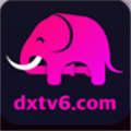 dxcm大象传媒手机版
