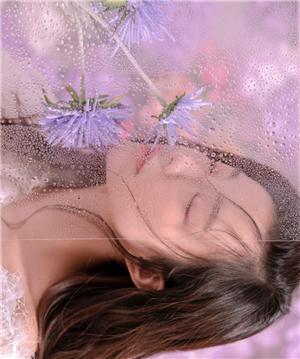 草莓苹果西瓜荔枝榴莲免费版截图3