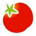 番茄黄瓜丝瓜草莓秋葵大全2024精品版