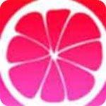 蜜柚app下载汅api免费安装版