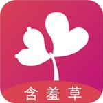 含羞草传媒旧版每天免费一次