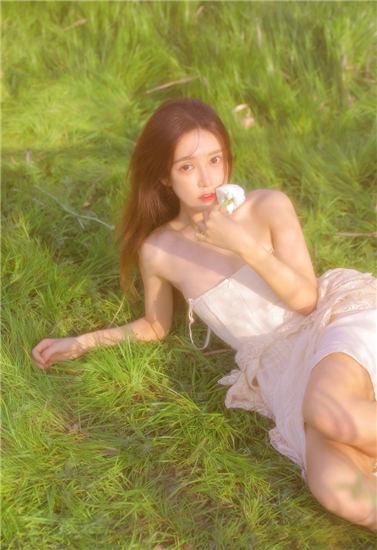 草莓丝瓜秋葵向日葵榴莲苹果安卓版截图1