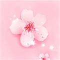 桃花视频在线观看免费大全最新版