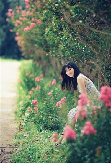 向日葵下载手机版免费安装截图1