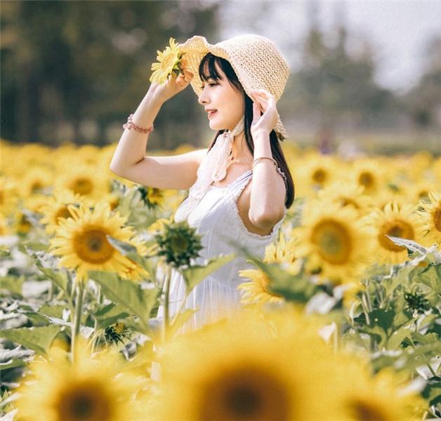 丝瓜草莓榴莲向日葵18岁app精品版截图2