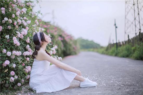xfb88.xyf幸福宝站长统计截图3