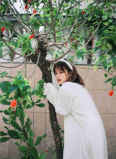 草莓视频app免费版截图3