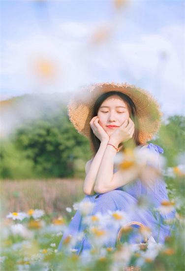 向日葵app下载网站页面最新截图1