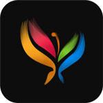 Flower butterfly free video watch online HD version