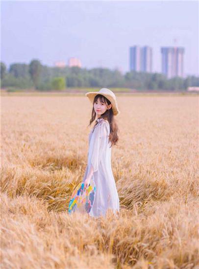 JQVISION VISION Vitamin完整版 v7.31