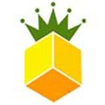 大菠萝福建导航免费软件下载