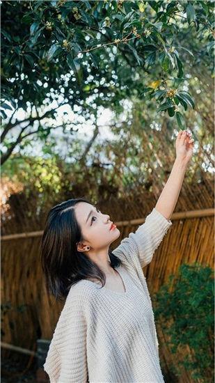 飞熊影视苹果版截图3