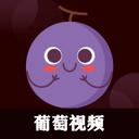 葡萄视频2021免费版