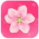 十里桃花直播app