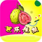 芭乐app下载官方下载