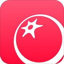 番茄社区app破解版