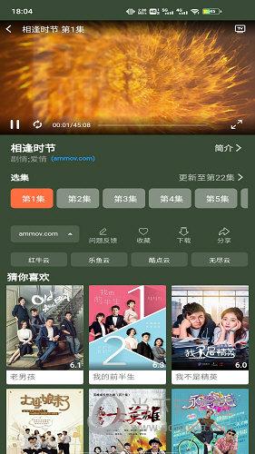 猫咪影视截图2
