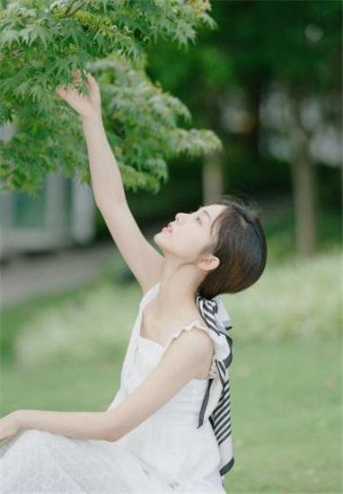 蘑菇影视官方下载截图2