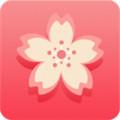 玫瑰app正版