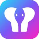 大象传媒app