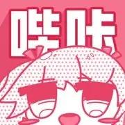 哔咔