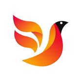 火鸟影视app