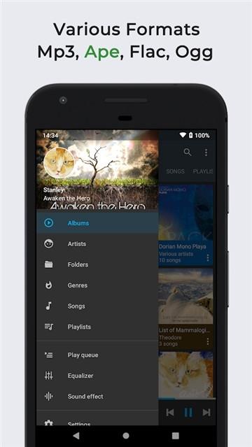 Omnia音乐播放器高级专业破解版v23.2.4截图1