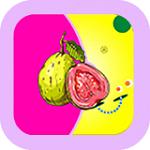 芭乐app下载安装官方免费下破解版