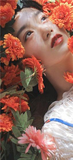 草莓榴莲向日葵免费破解版截图1