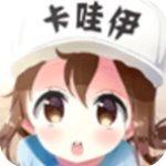卡哇伊直播APP
