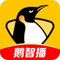 企鹅直播