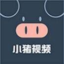 小猪视频app下载安装