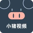 小猪视频app