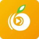 柑橘app直播下载