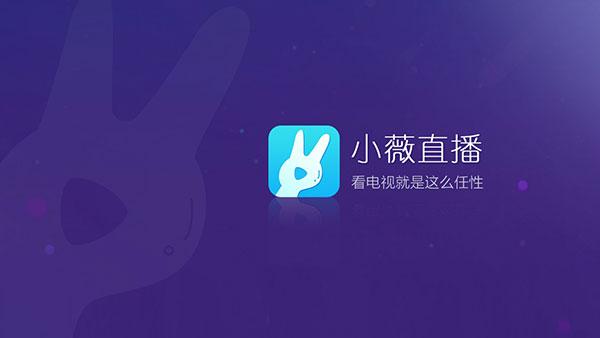 小薇电视 2025TV版纯净版截图0