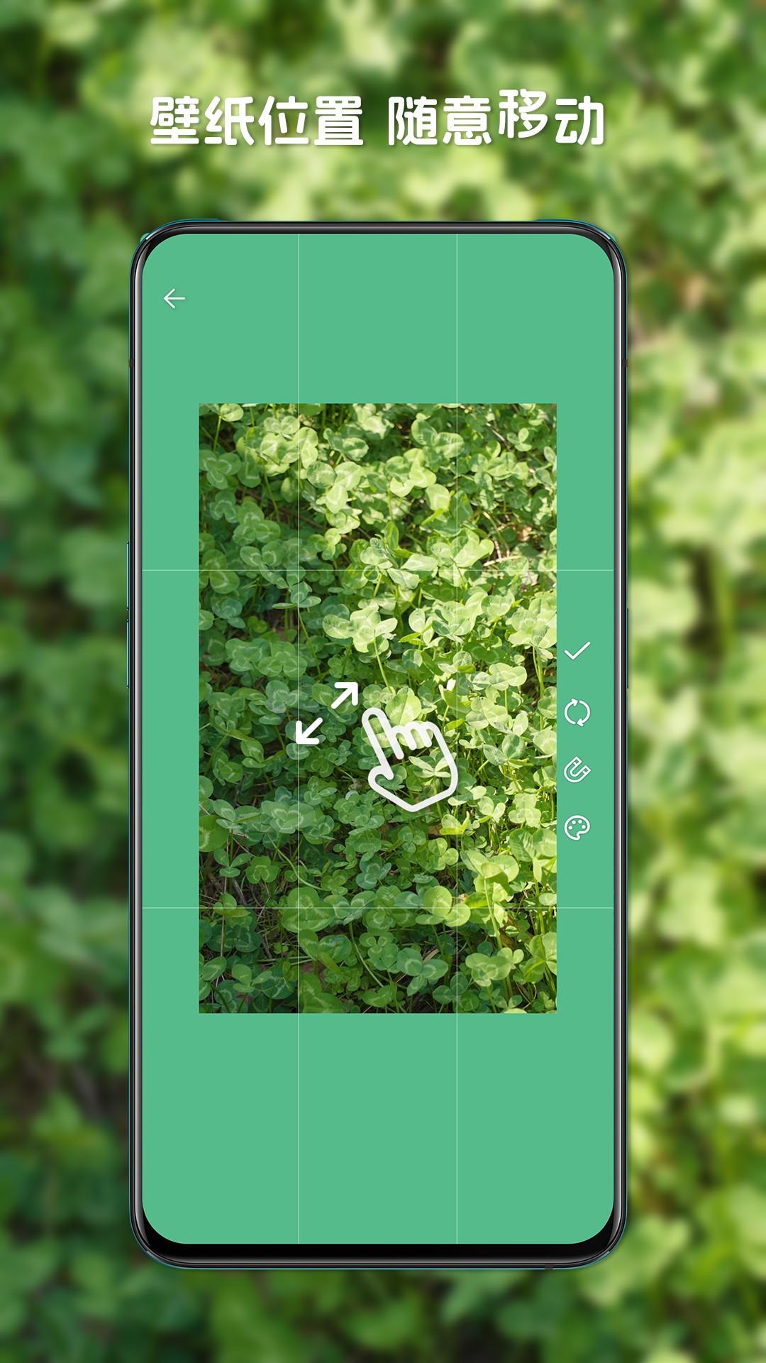 星咩视频壁纸 官方正版截图1