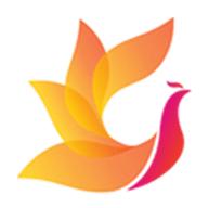 花和影视 免费追剧