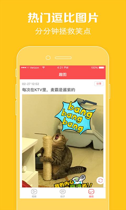 新版猫咪 2025最新版截图2
