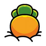 果茶视频 无广告纯净版