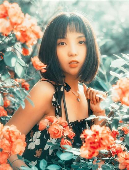 向日葵app下载网址进入18免费站长统计安卓解锁版截图3