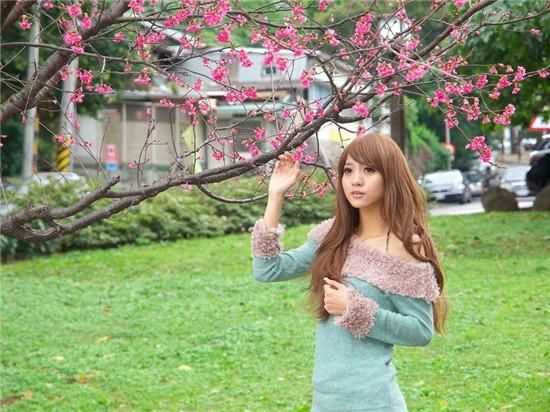 New version of Paradise Resources Chinese WWW official Android version