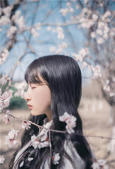 Piggy Duck Neck Sunflower Guava Strawberry