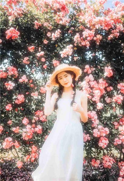 Free online viewing of cat community resources without restrictions