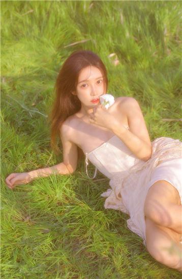 Wild Flower Japan HD Free Full Version HD Version 7 Mobile Version