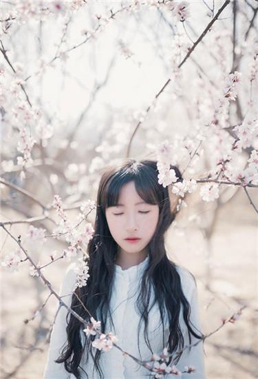 Piggy Duck Neck Sunflower Guava Strawberry