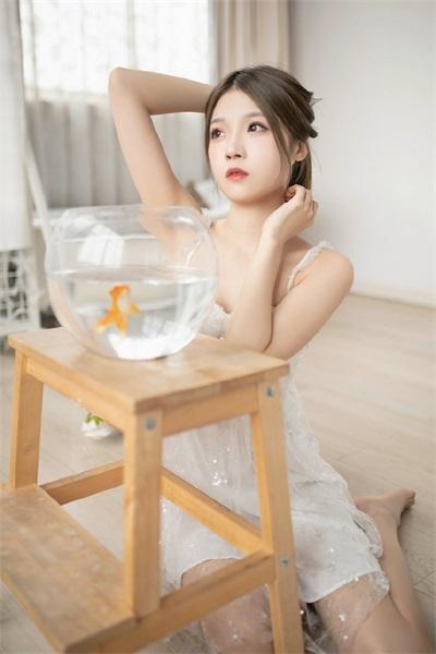 аParadise Chinese Online Official Website App