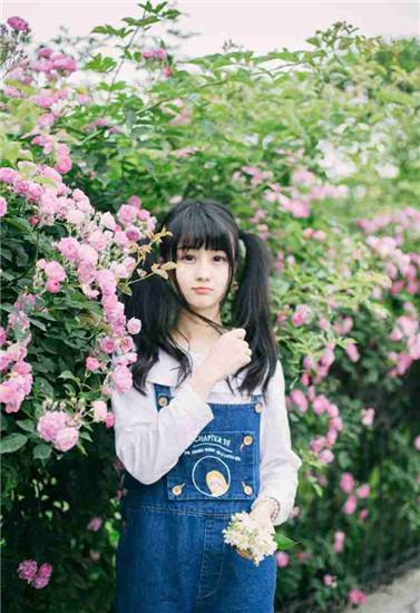 Whale video free to watch HD version