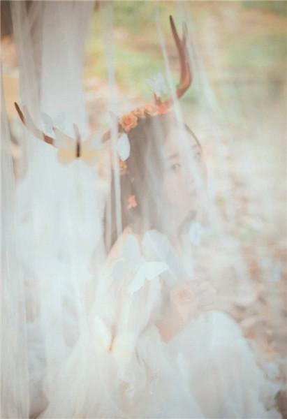 Guava Strawberry Cherry Luffa Green Giant Okra Banana