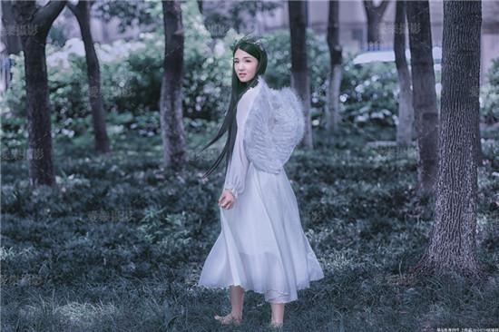 Paradise bt seed resources online www old version